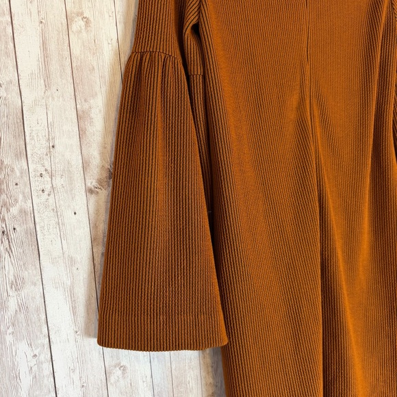 Tibi Rust Striped Wide-Sleeve Ribbed Shift Dress Small - Picture 7 of 8